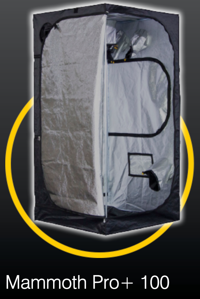 Mammoth Pro+ Serie 90x90x180 cm ab 99 € verschiedene Größen