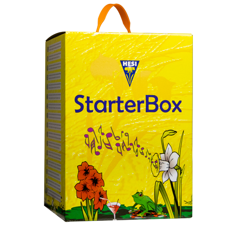 Hesi Starterbox Erde